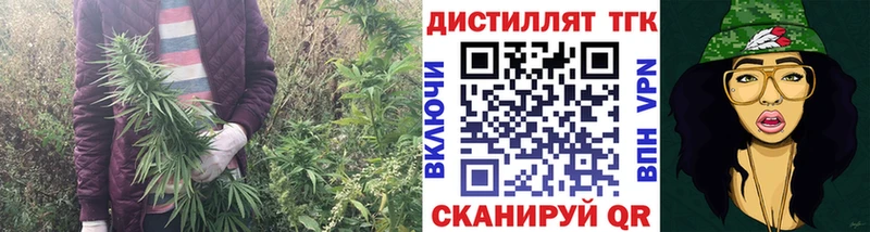 Дистиллят ТГК THC oil  Купить где  Елабуга 