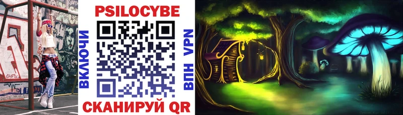 Галлюциногенные грибы Psilocybe  Купить  Елабуга 